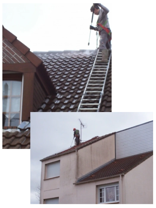 Travaux de démoussage toiture à Pévèle (59)